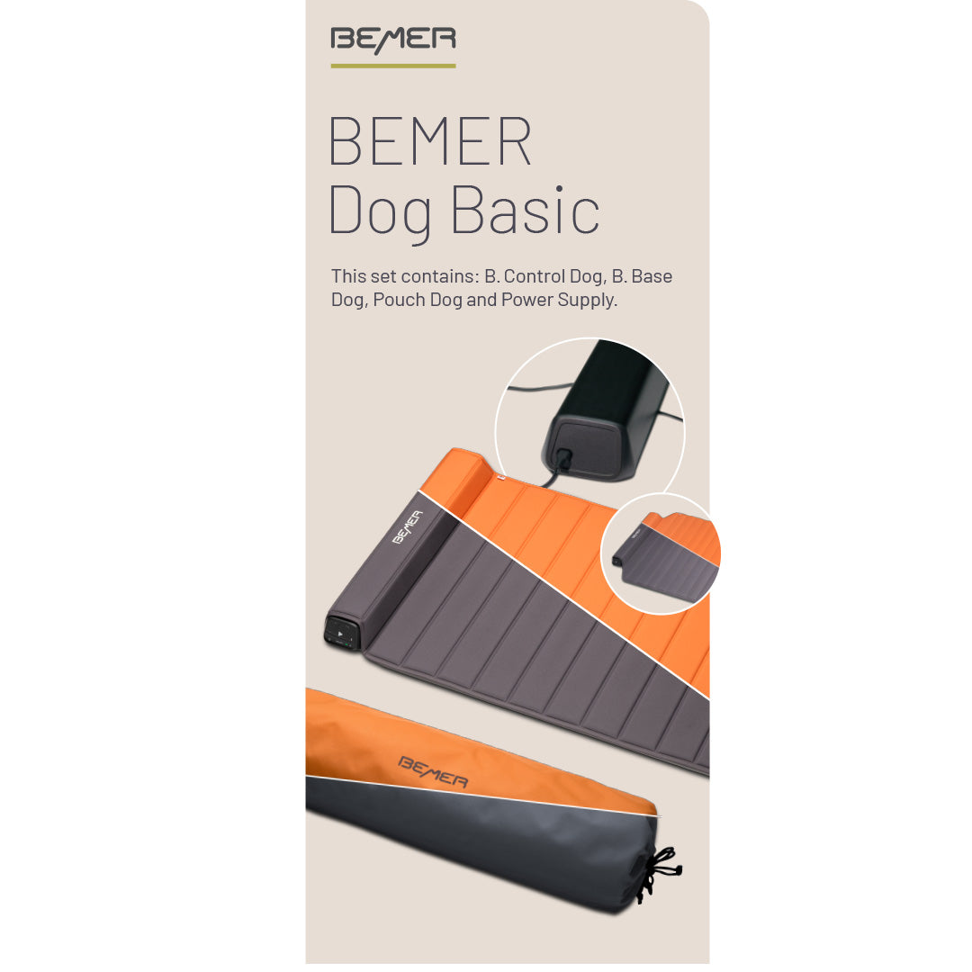 Dog Basic Rollup