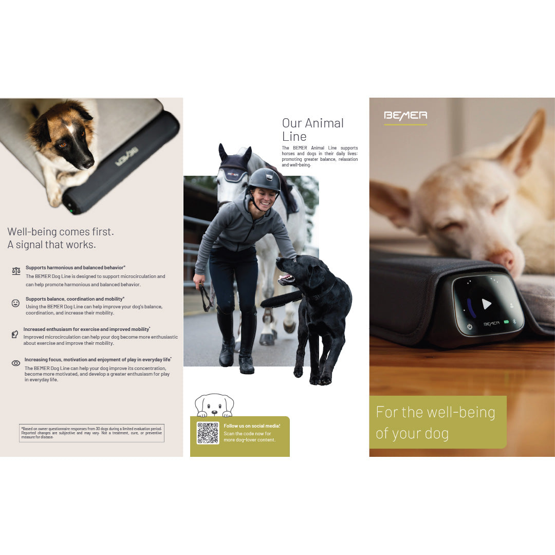 Bemer Dog TriFold Pamphlet (English)