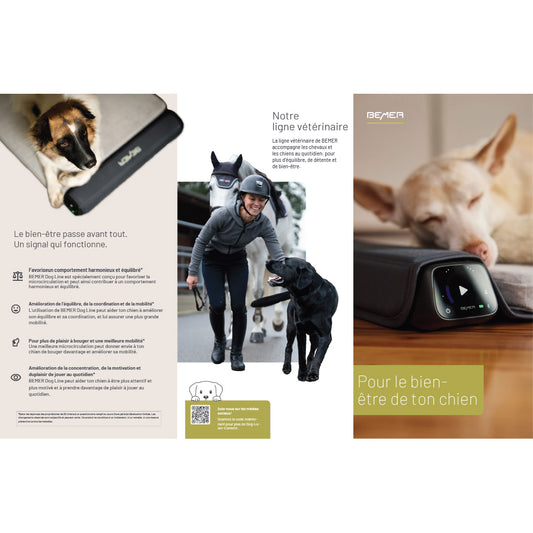 Bemer Dog TriFold Pamphlet (French)