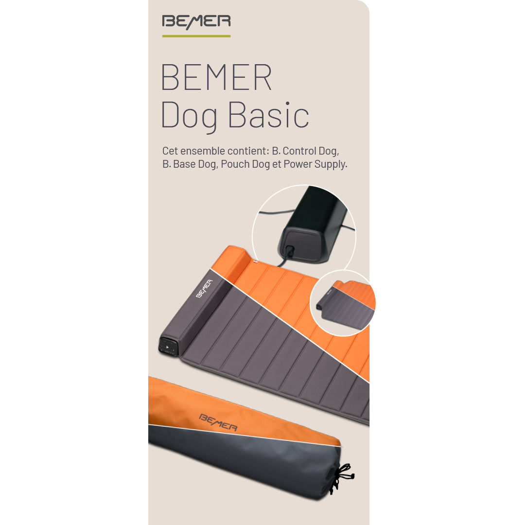 Dog Comfort Rollup (French)