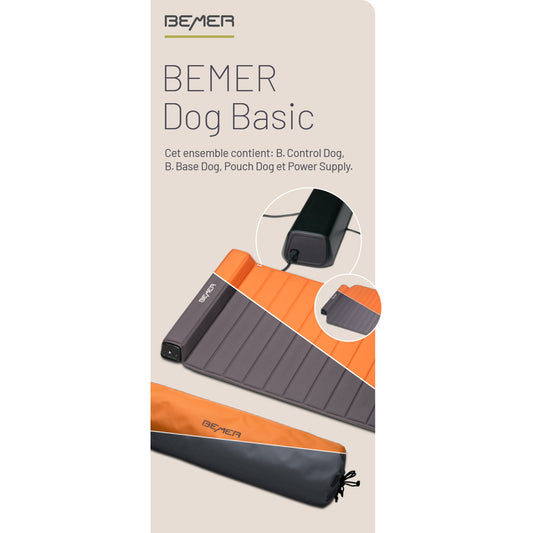 Dog Basic Rollup (French)